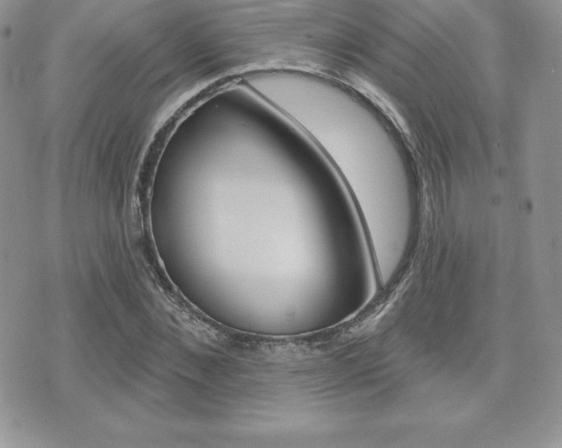X0000071960876200607071010