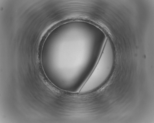 X0000071960880200607071010