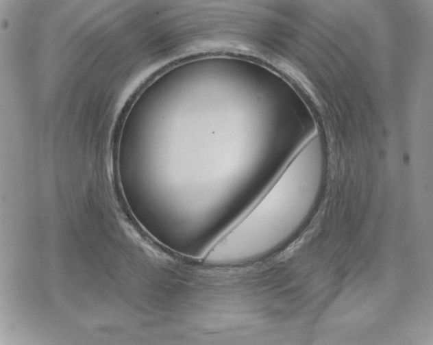 X0000071960888200607071010