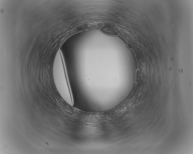 X0000071960914200607071009