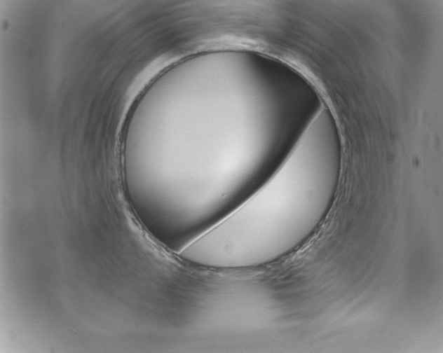 X0000071961008200607071008