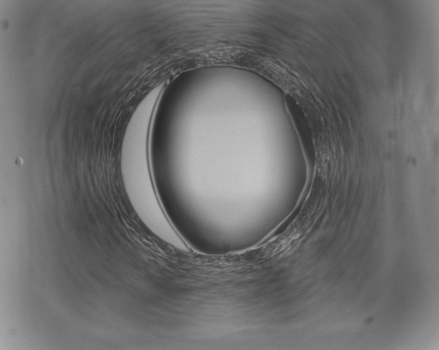 X0000071961010200607071007