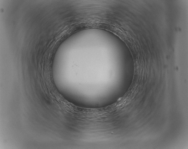 X0000071961057200607071007