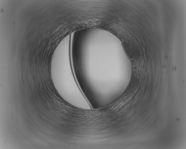 X0000071961058200607071007