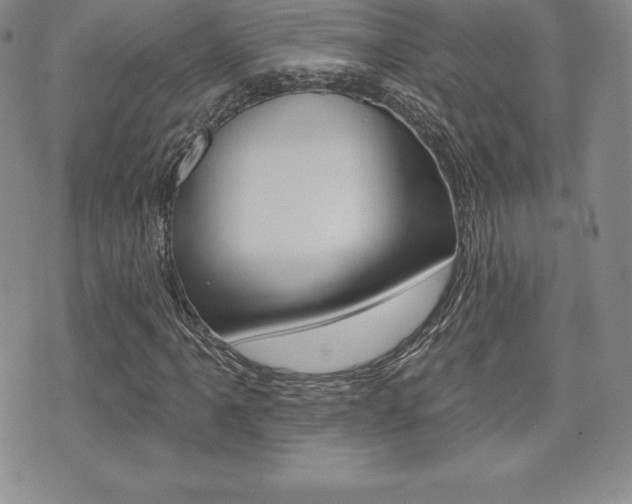 X0000071961061200607071007