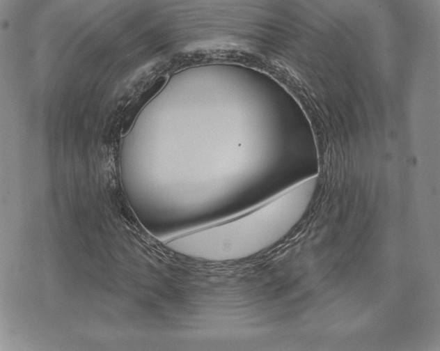 X0000071961062200607071007