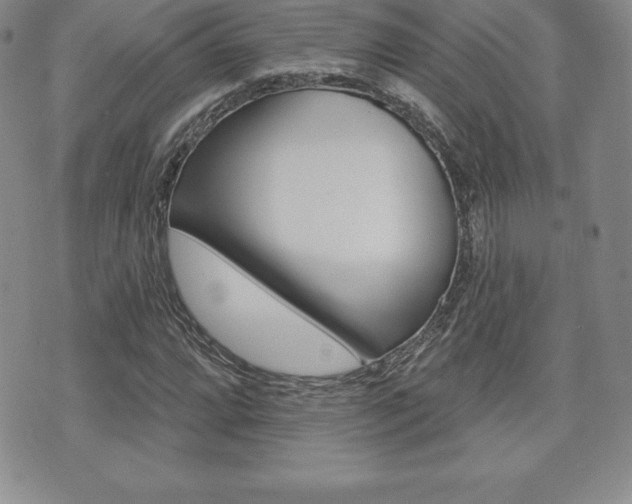 X0000071961064200607071007