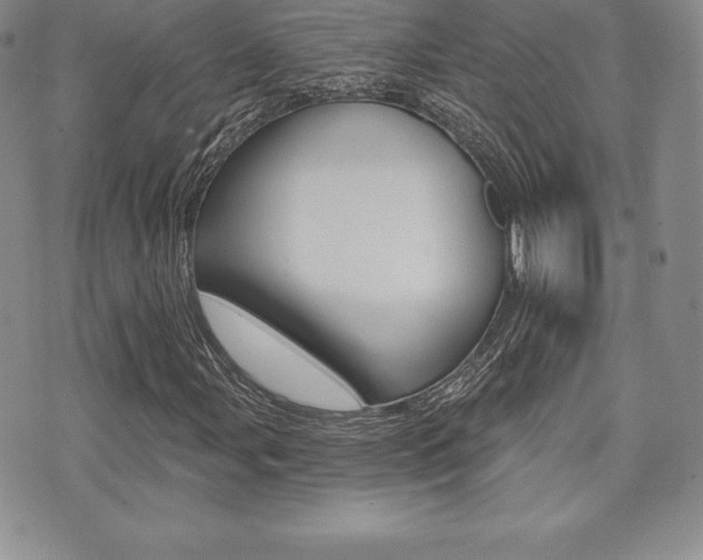 X0000071961107200607071006