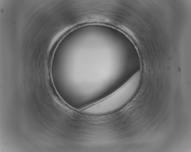 X0000071961120200607071006