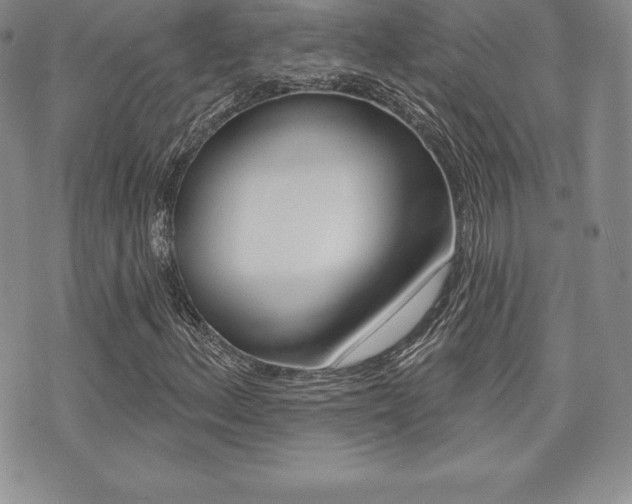 X0000071961156200607071005