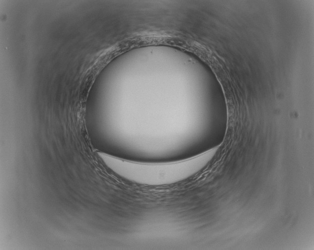 X0000071961157200607071005