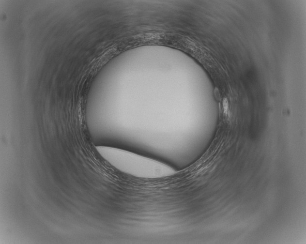 X0000071961203200607071004