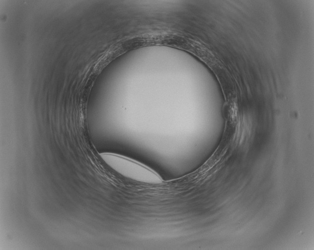 X0000071961204200607071004