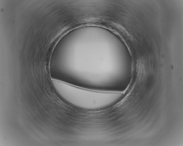 X0000071961209200607071004
