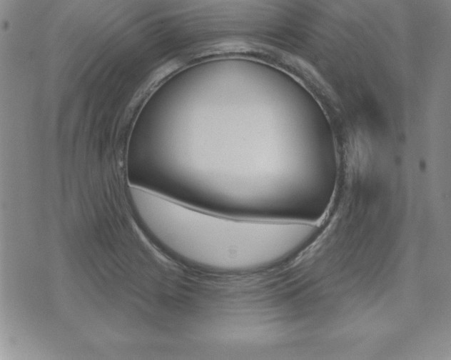X0000071961225200607071004