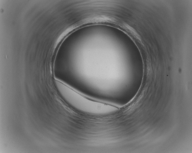 X0000071961226200607071004