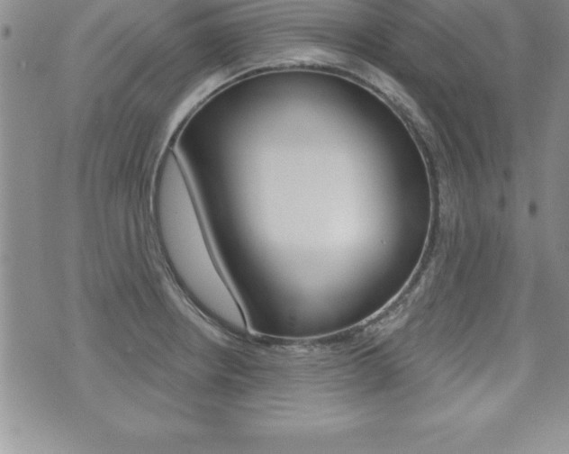 X0000071961234200607071004