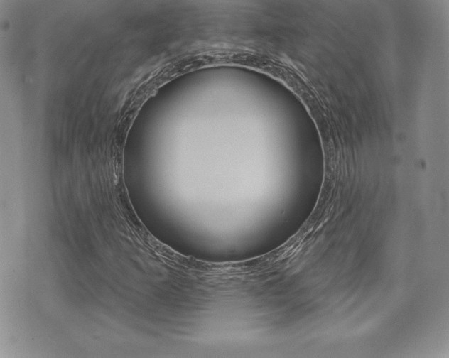 X0000071961253200607071004