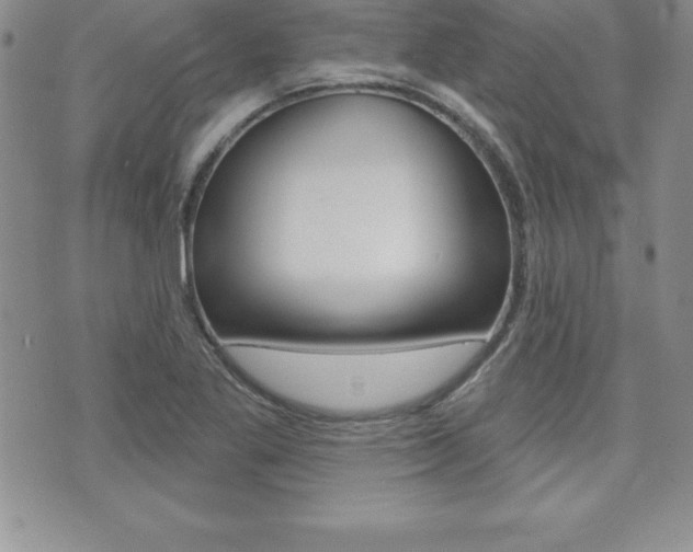 X0000071961269200607071004