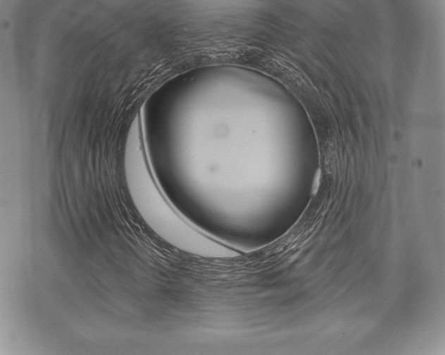 X0000071961298200607071002