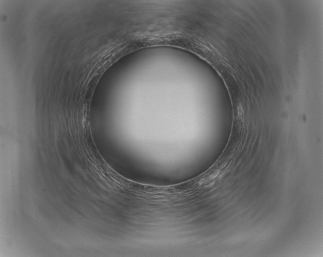 X0000071961300200607071002