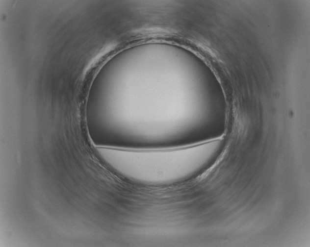 X0000071961309200607071002