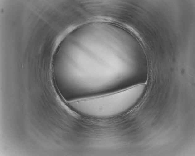 X0000071961379200607071002