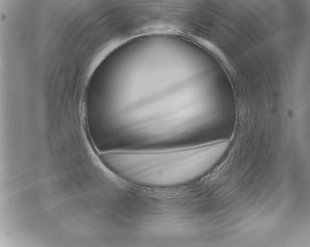 X0000071961383200607071002