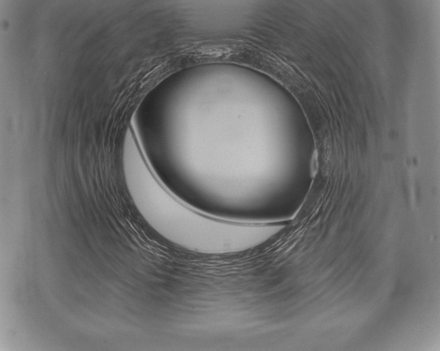 X0000071961394200607071001