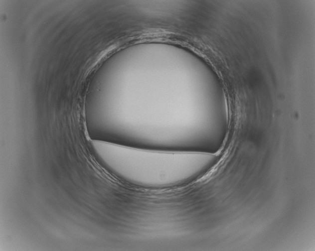 X0000071961401200607071001