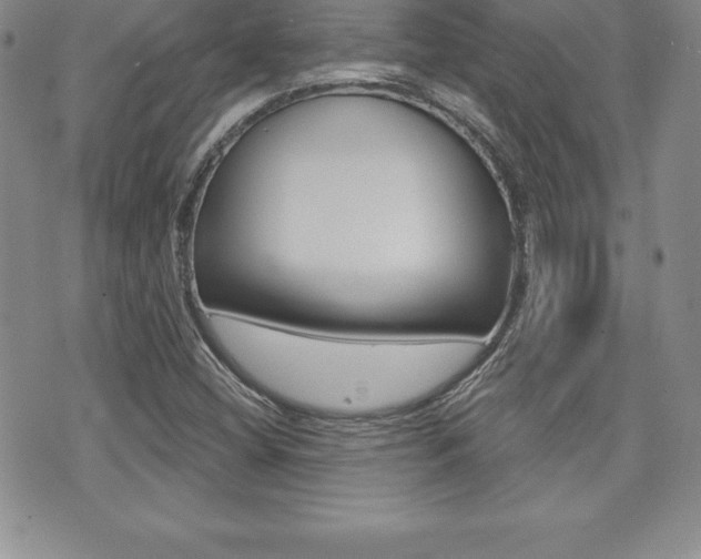 X0000071961404200607071001