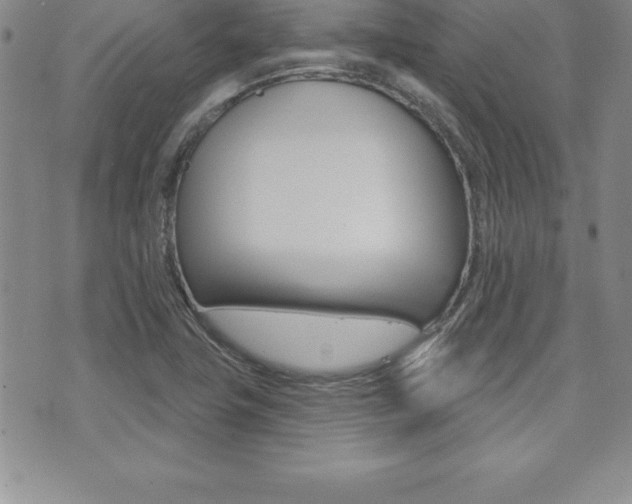 X0000071961411200607071001