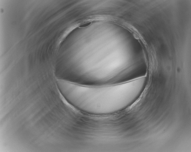 X0000071961433200607071001