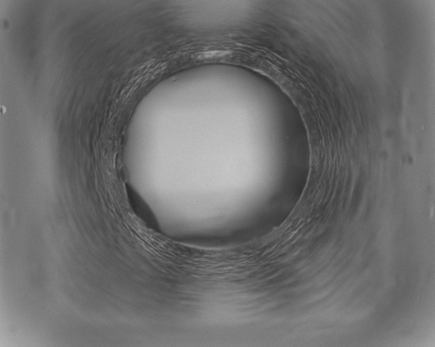 X0000071961441200607071001