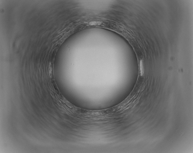 X0000071961443200607071001