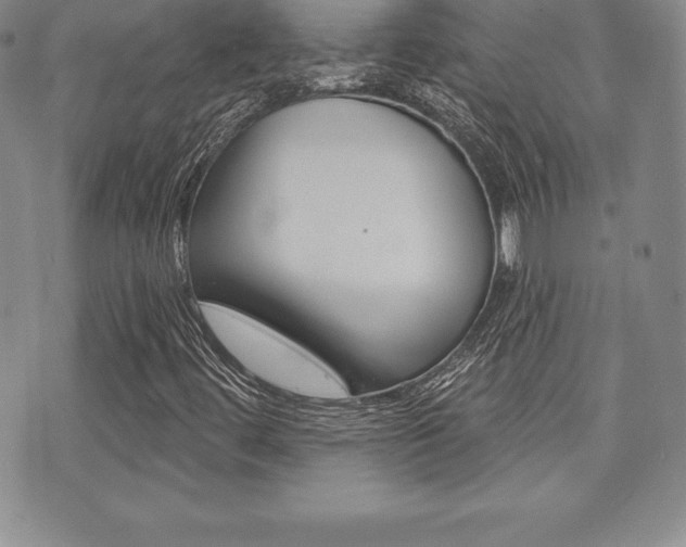 X0000071961444200607071001
