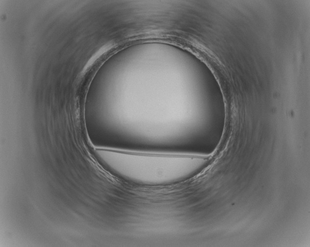 X0000071961450200607071001