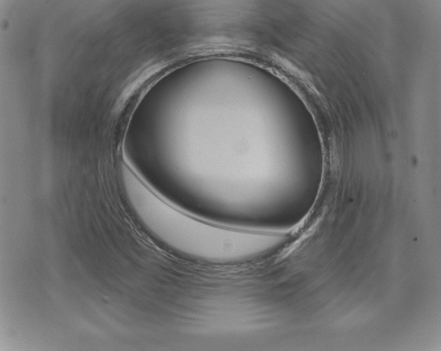 X0000071961453200607071001