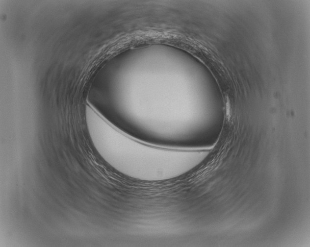 X0000071961492200607070959