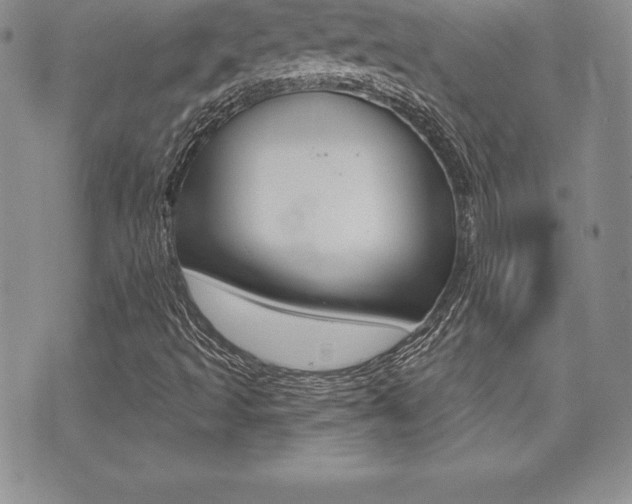 X0000071961493200607070959