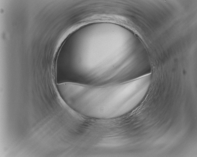 X0000071961531200607071000
