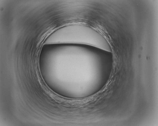 X0000071960001200607071504