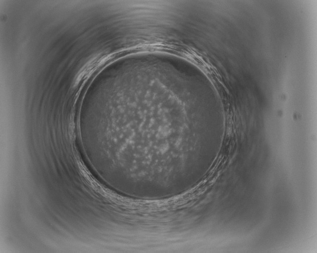 X0000071960002200607071504