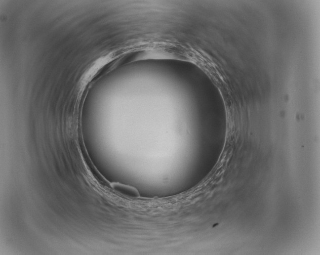 X0000071960003200607071504