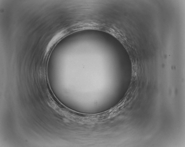 X0000071960004200607071504