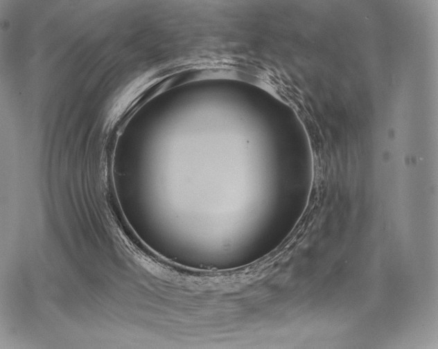 X0000071960005200607071504