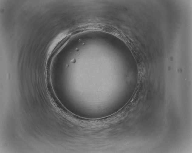 X0000071960006200607071504