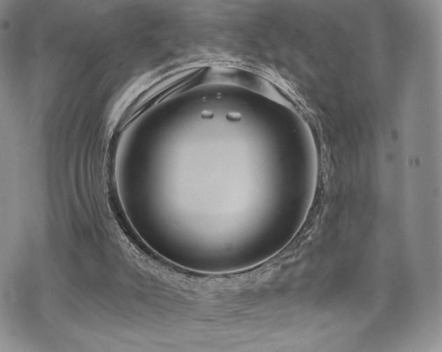 X0000071960007200607071504