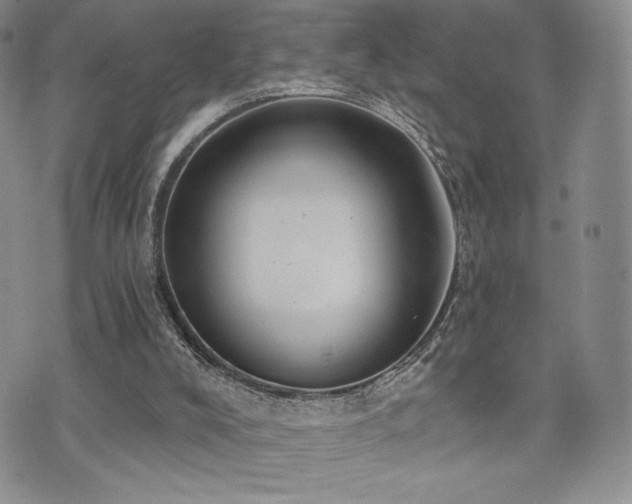 X0000071960008200607071504