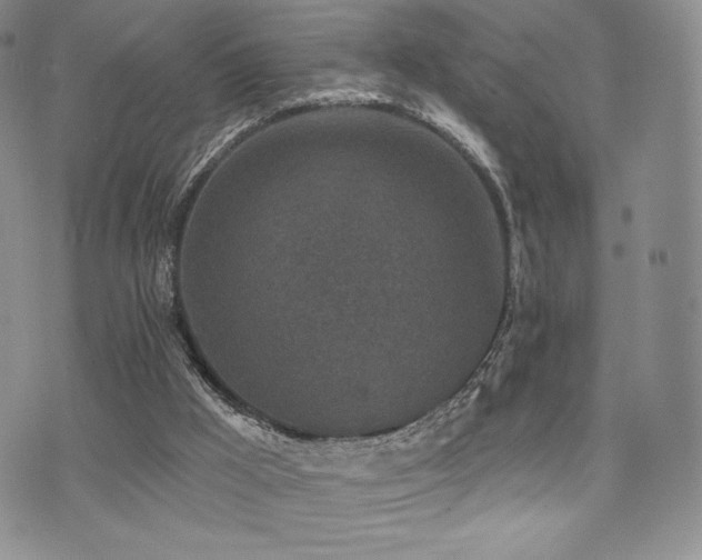 X0000071960009200607071504